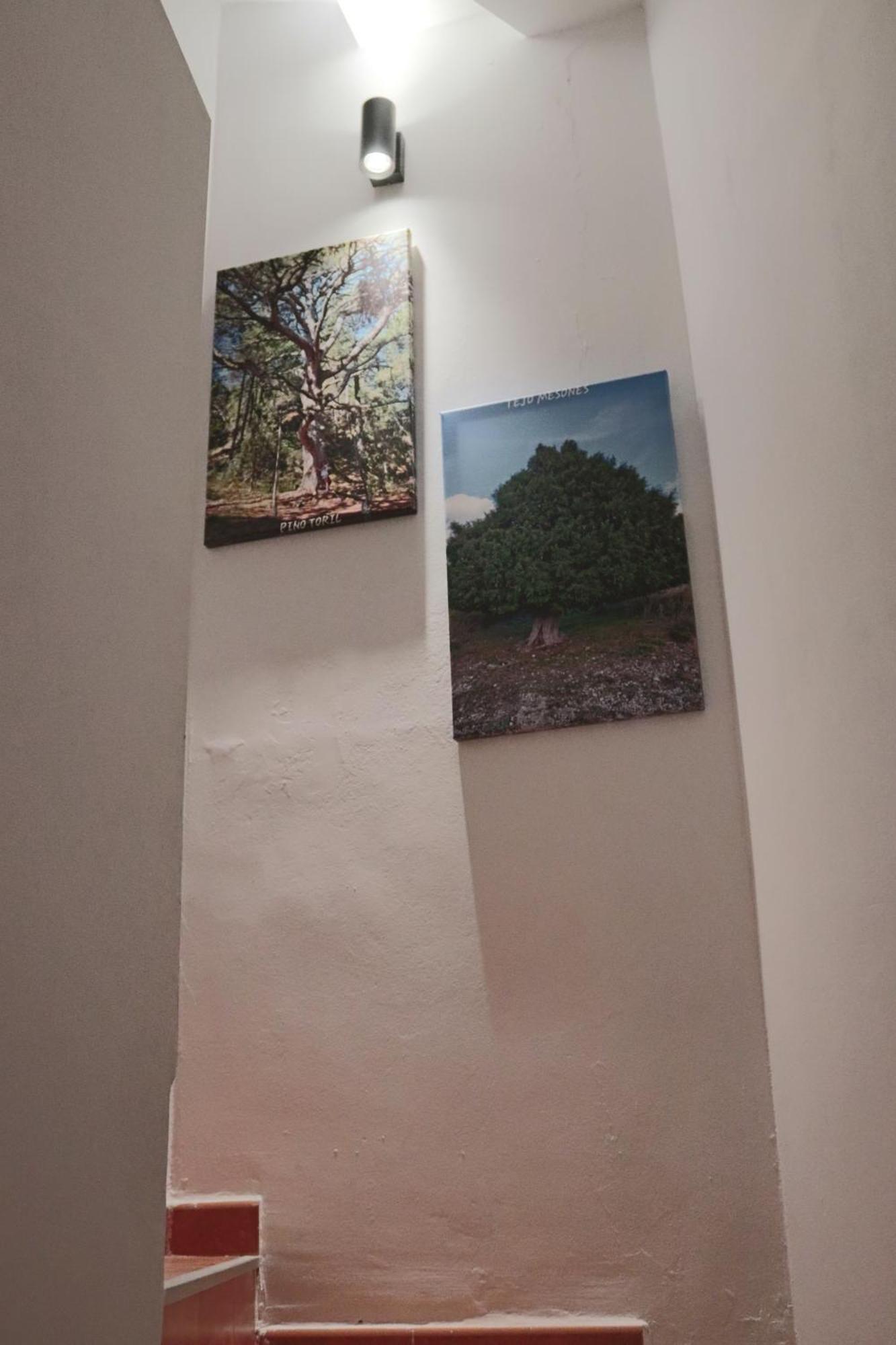Casa 25 Villa Riópar Eksteriør billede